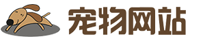 柔远科技独立站B106-宠物商店宠物装备类网站